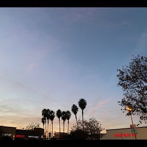 Meet your Posher, Daisy